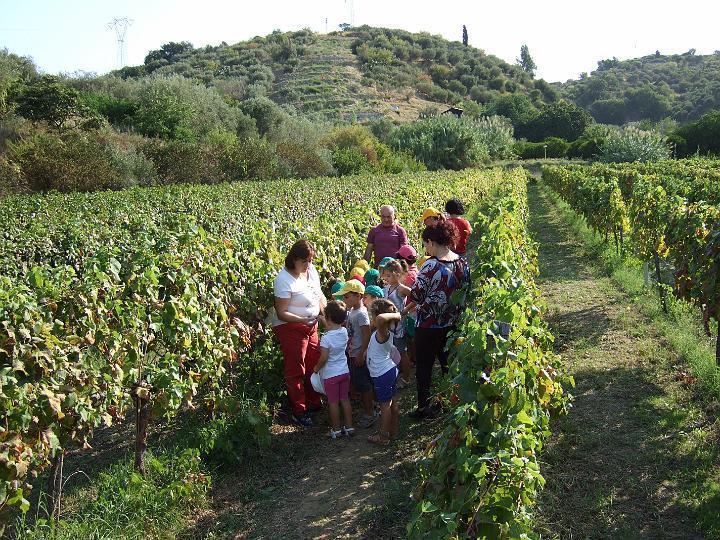 Agriturismo Parra Santa Lucia del Mela Экстерьер фото