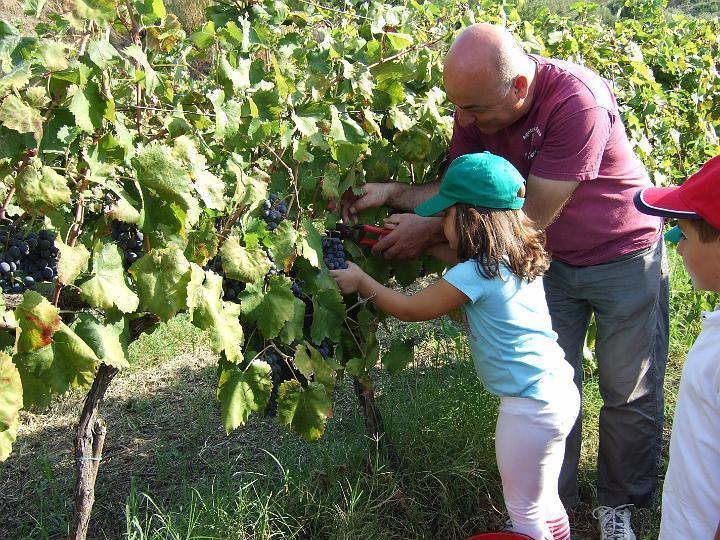 Agriturismo Parra Santa Lucia del Mela Экстерьер фото