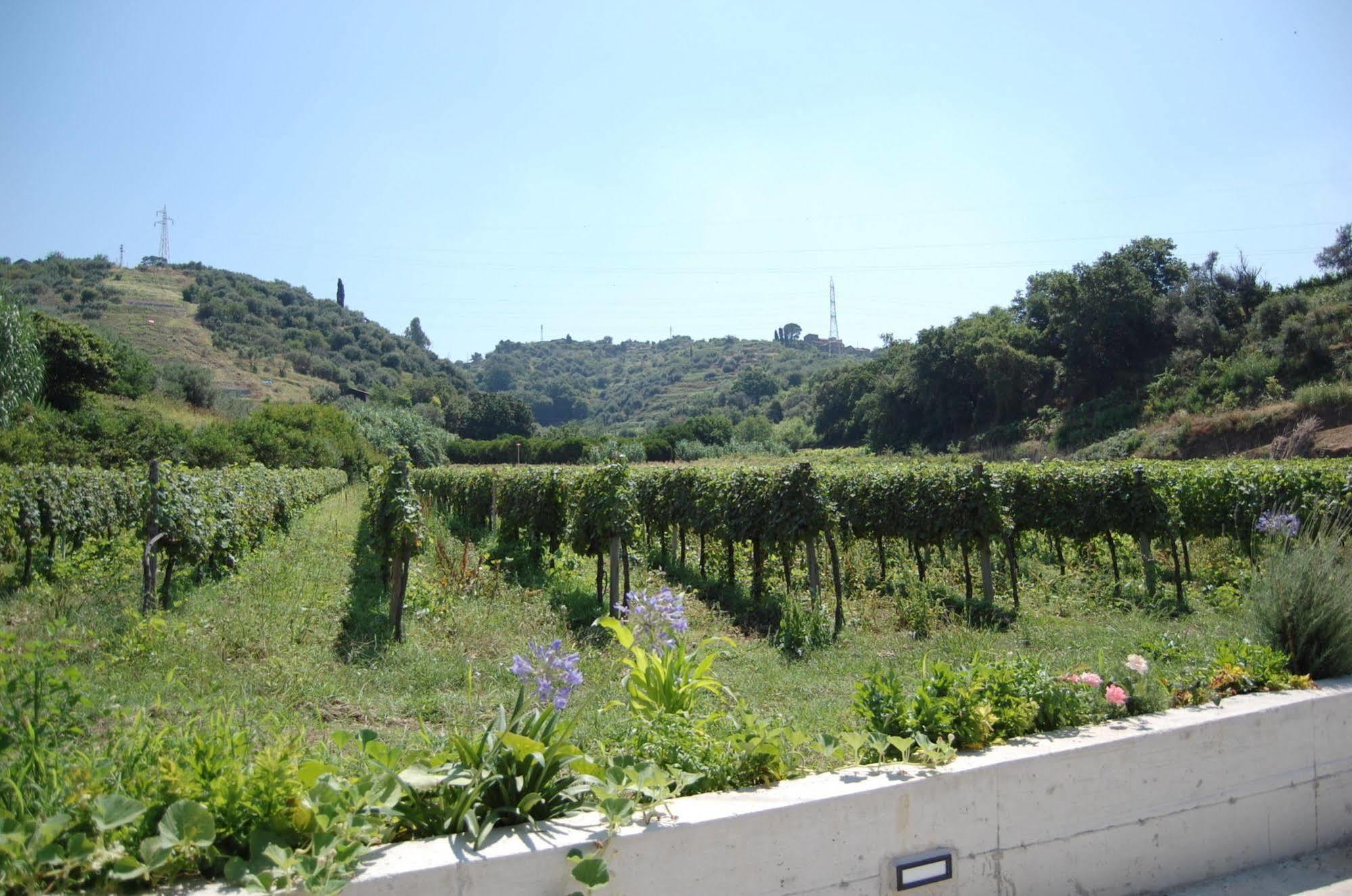 Agriturismo Parra Santa Lucia del Mela Экстерьер фото